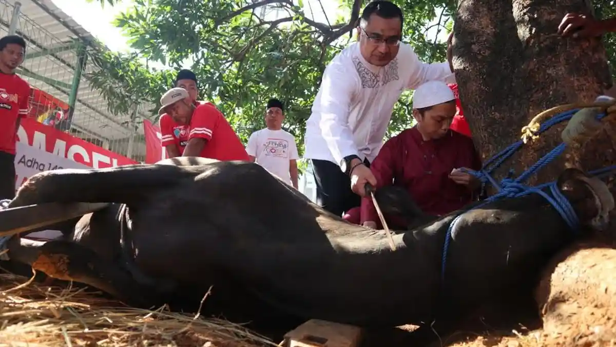 Telkomsel Area Pamasuka Kurban 105 Sapi dan Kambing