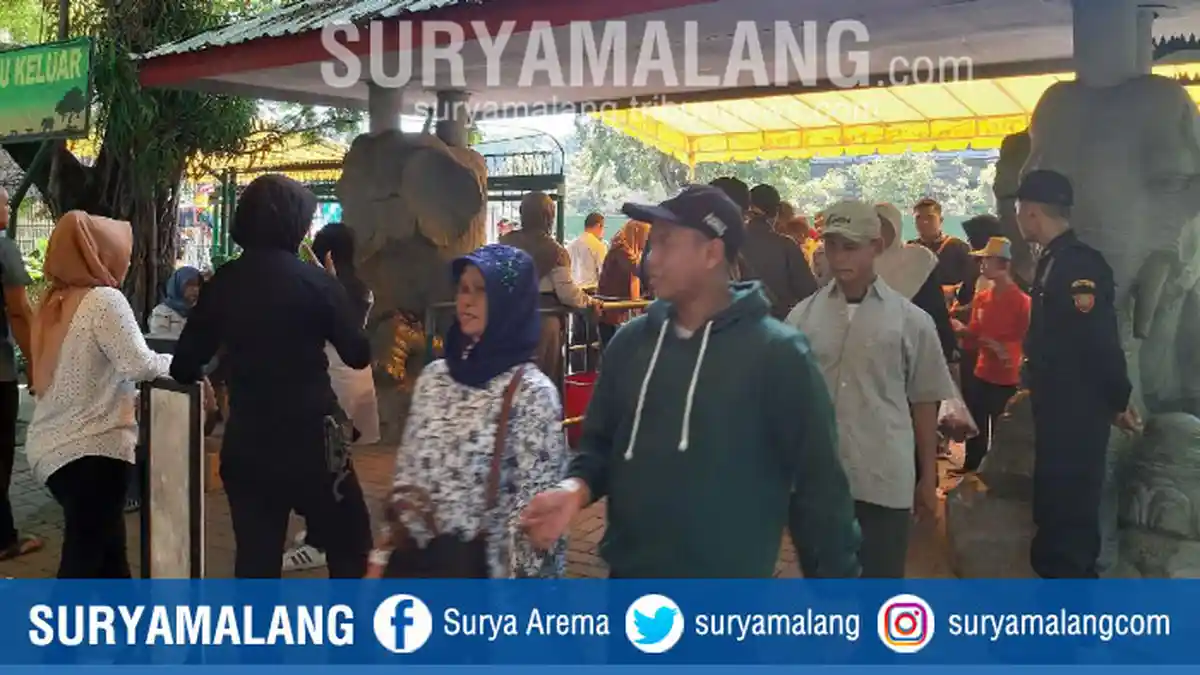 Kebun Binatang Surabaya (KBS) Buka 3 Pintu Masuk Selama Libur Lebaran