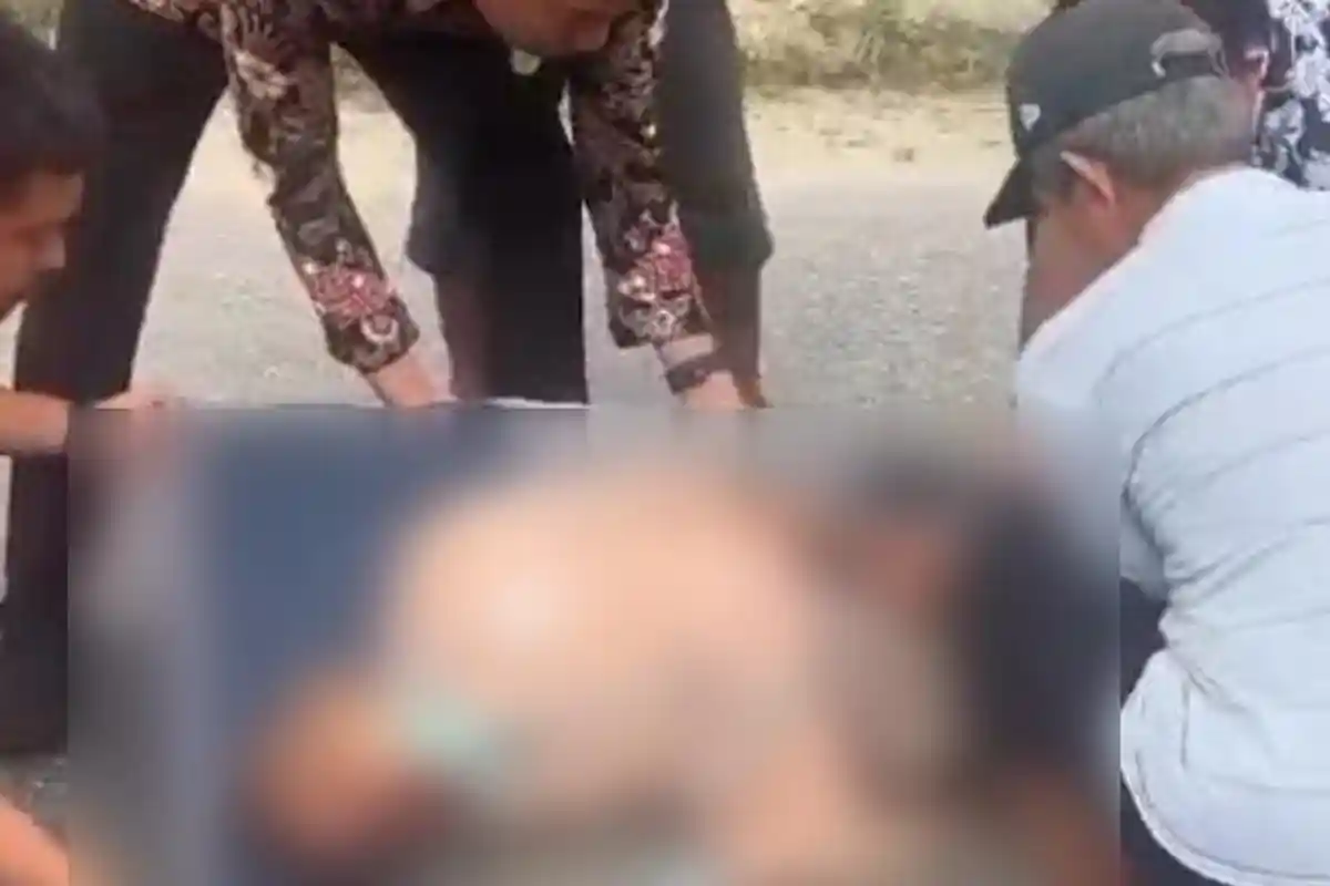 Viral Video Kakek di Konda Konawe Selatan Sulawesi Tenggara Jadi Korban Tabrak Lari Truk