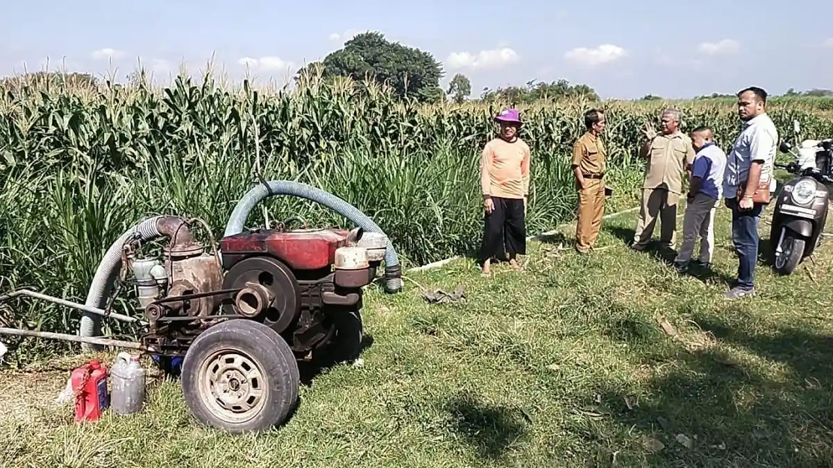 Program Bantuan Sumur Dangkal Kementan Solusi Atasi Krisis Air di Sentra Cabai