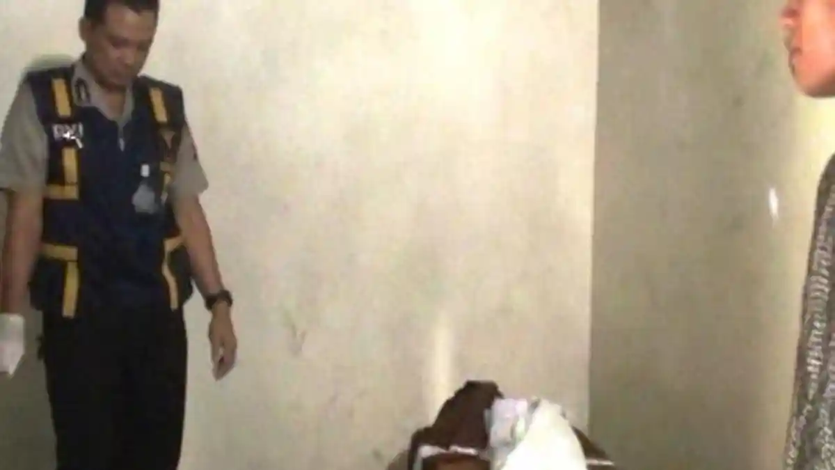 Gugup, Dikira Guling Bayi 40 Hari Dipakai Memukul Ular