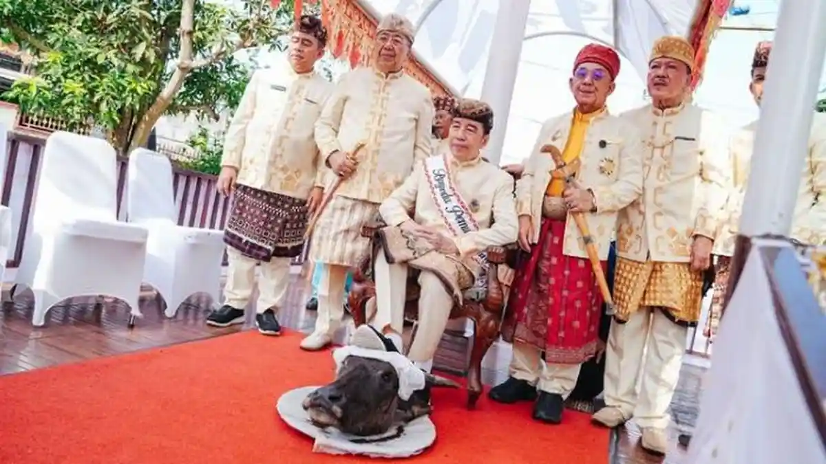 Budayawan dan Tokoh Lampung Kritik Gelar Adat Jokowi: Proses Diperpendek Jadi Seremoni Politik - Tribunnews.com