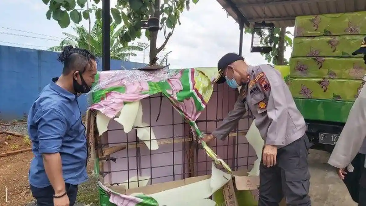 BURUNG Kesayangan Ditukar Kasur, Belum Lama Ditiduri Langsung Jebol, Auto Tergiur Harga Murah Sih