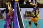 BJB Tandamata Tekuk Gresik Petrokimia 3-0 di Ajang Proliga 2020