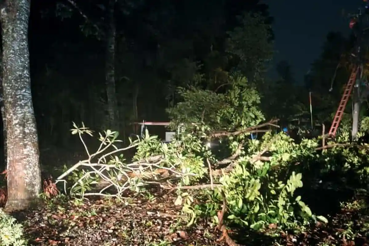 Diterjang Angin Kencang, Purwakarta Dilanda Pohon Tumbang, Listrik Sempat Terganggu