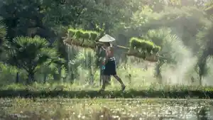 ilustrasi-hari-tani-nasional.jpg