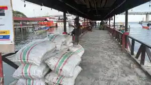 Harga-Kopra-di-Manado-Turun-jadi-Rp15-Ribu-per-Kilogram-Petani-Mengeluh.jpg