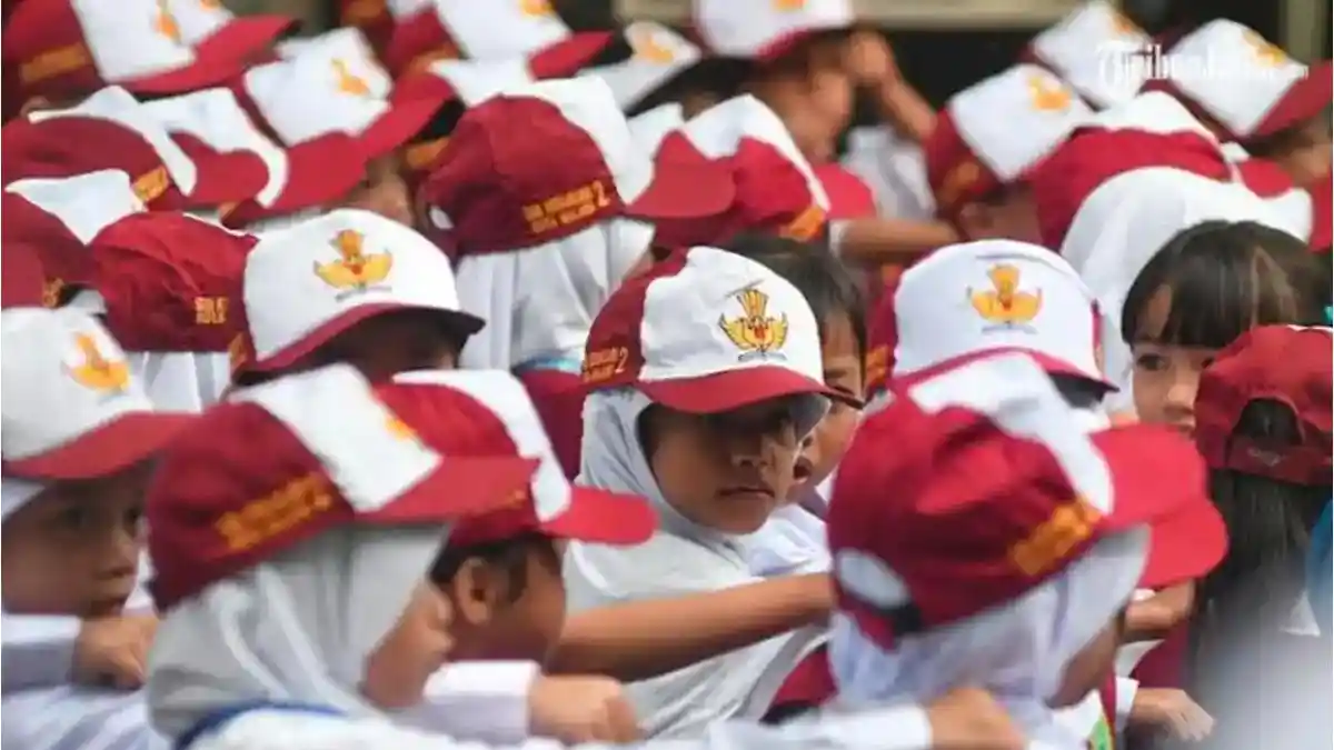 Usulan Penambahan Rombel SD di Maros Belum Disetujui, Ratusan Calon Murid Terancam Tak Tertampung - Tribun-timur.com