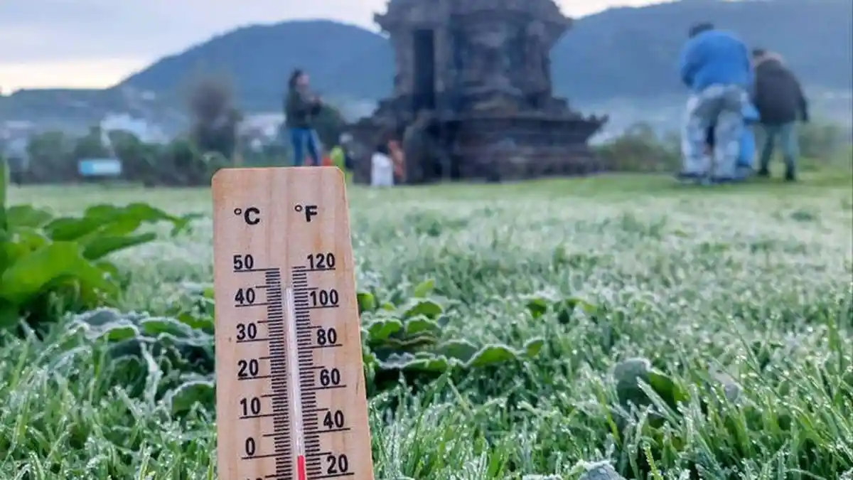 Berburu Embun Es, Wisatawan Meningkat Drastis ke Dieng, Suhu Capai Minus 0,57 Derajat