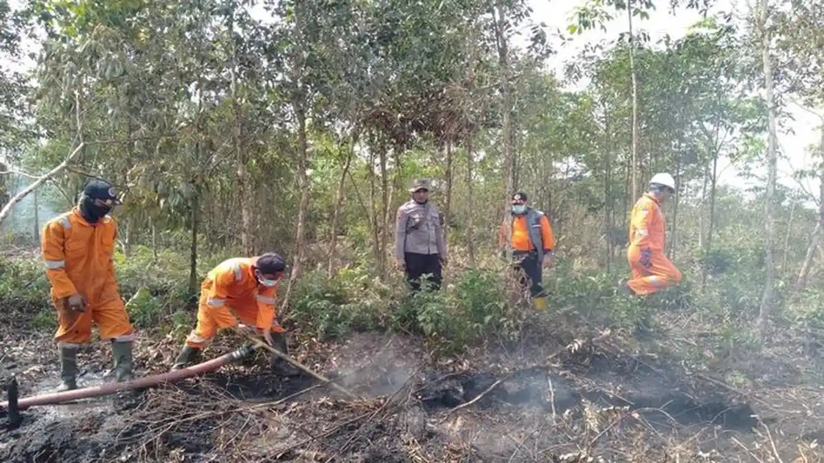Ternyata Sudah 257 Hektar lahan Terbakar di Sumsel Berikut Ini Titik Lokasinya