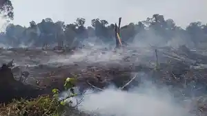 Meluas-Karhutla-Landa-Bakongan-dan-Trumon-Timur-37-Hektar-Lahan-Terbakar.jpg