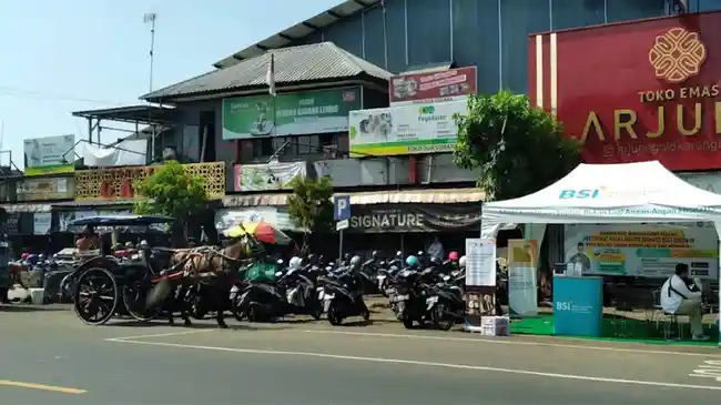 Tribun