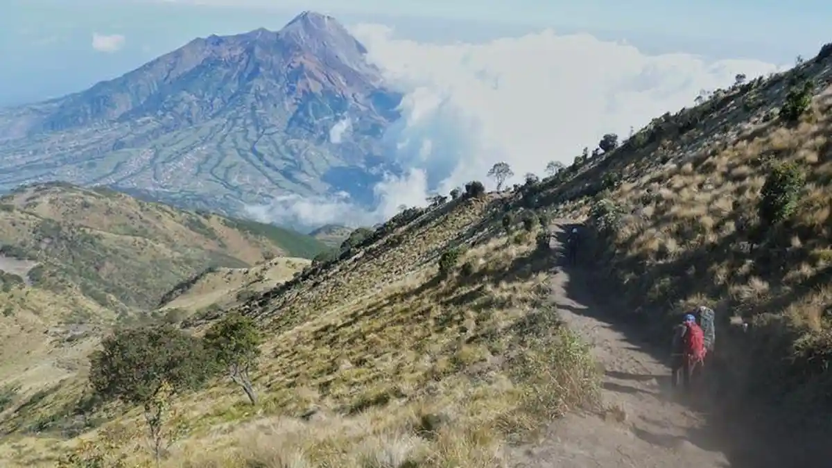 Mendaki Gunung Merbabu saat Musim Hujan, Ini 4 Hal Penting yang Perlu Diperhatikan