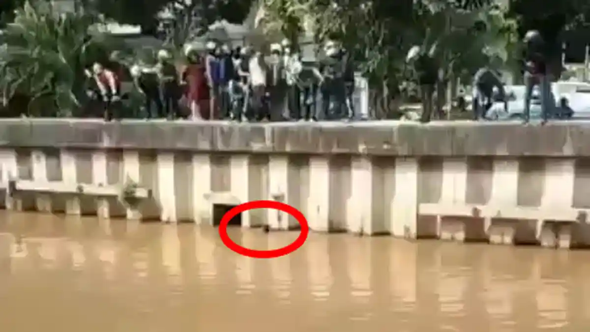 Viral Debt Collector Nekat Terjun ke Kali Ciliwung Lantaran Takut Diamuk Massa