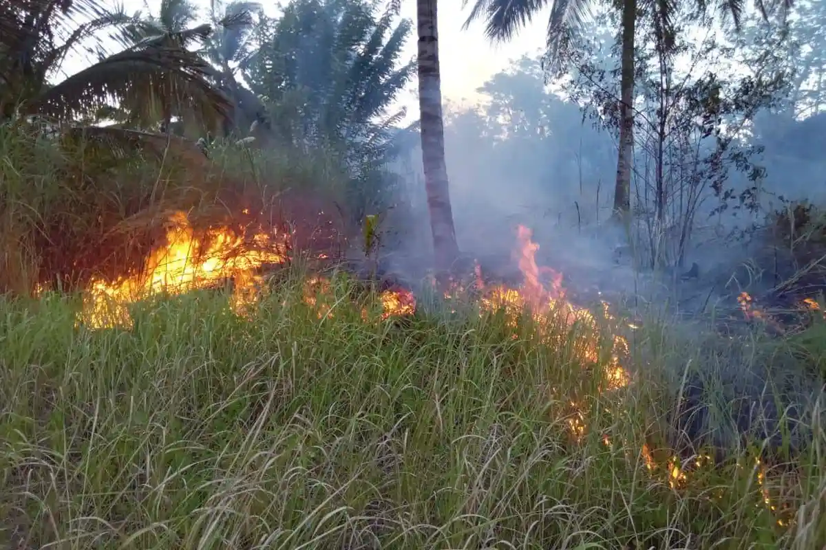 Keterangan Kepala Resort TWA Batuangus Bitung Sulawesi Utara Terkait Kebakaran Hutan