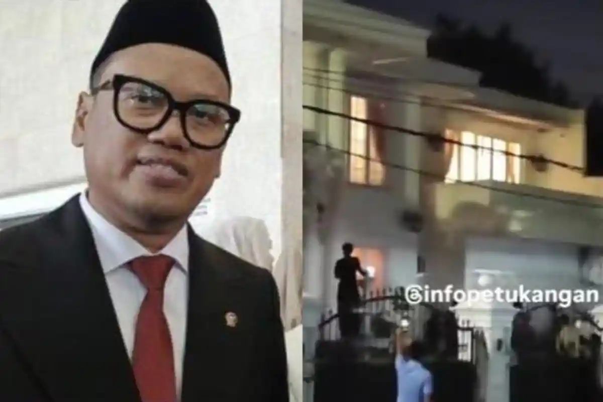 1 Kucing Uya Kuya Ditemukan, Kondisi Kurus dan Kutuan, Diduga Sudah Lama Tak Terawat