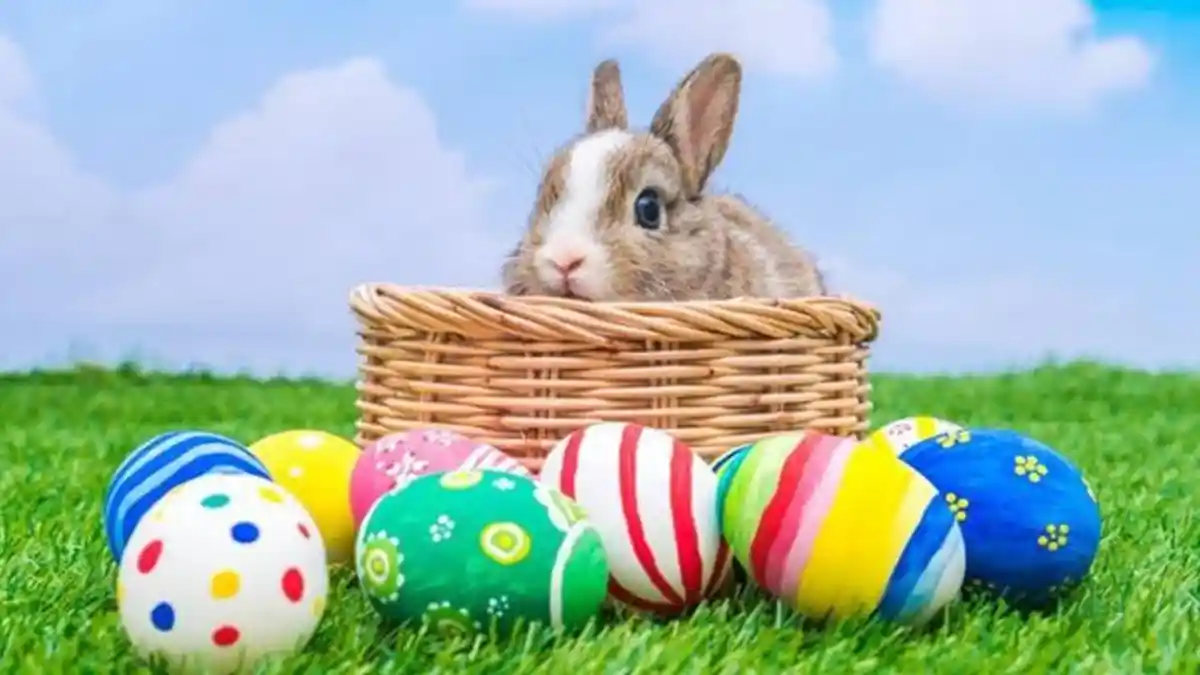 Paskah Identik dengan Kelinci dan Telur, Ini Nih Asal Usul Dua Benda Tersebut Jadi Tradisi