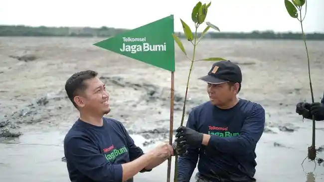 Tribun