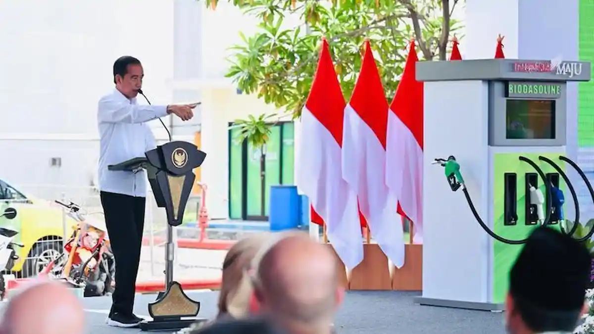 Presiden: Kita Telah Mulai Tanam Tebu Secara Modern
