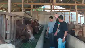 Mehmet-Altinsoy-bersama-Ahmad-Fadlil-dan-Dhien-Keramik-lihat-sapi-kurban-2026.jpg
