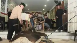 kurban-gerindra-makassar3.jpg