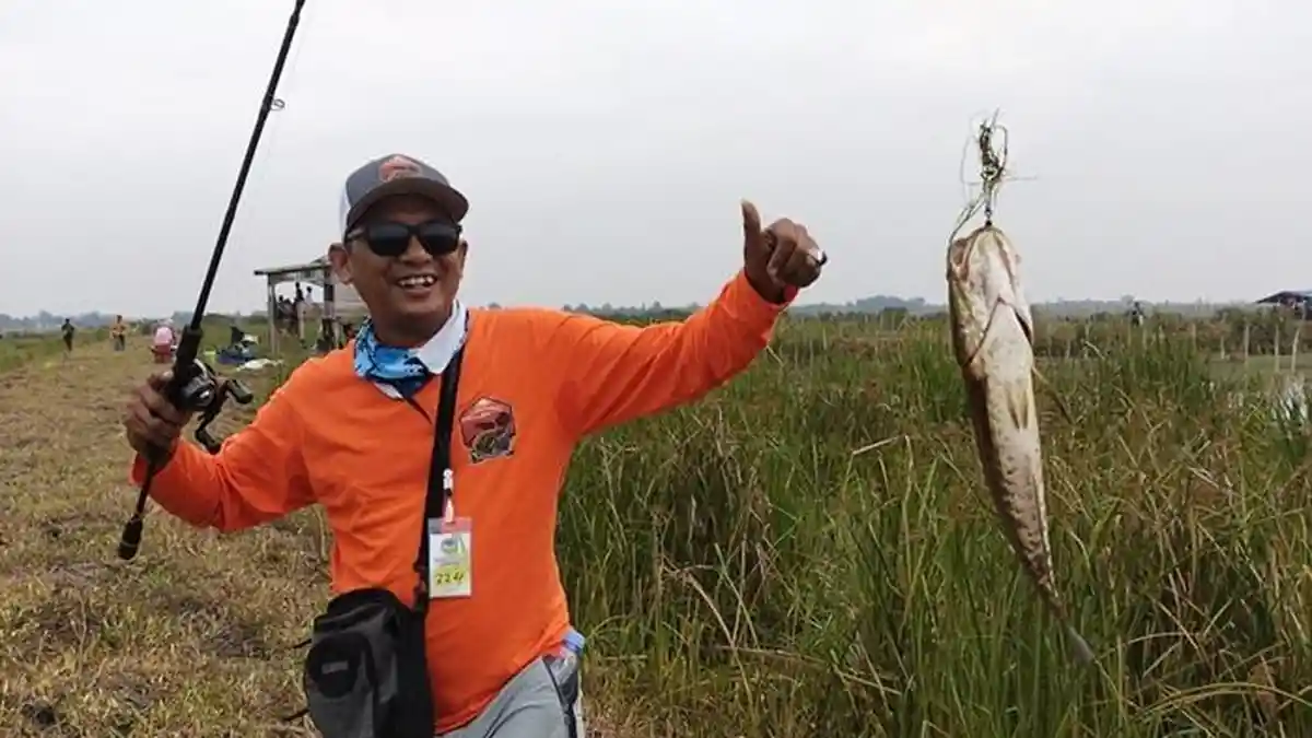 Predator Liar Bermunculan di Desa Baru Banyuasin, Umpan Pancing Goyang Berdenyut