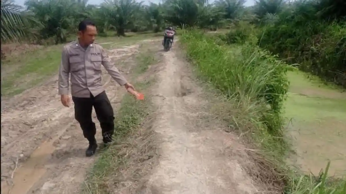 Pria Ditemukan Tewas di Parit, Korban Diduga Mabuk dan Kecelakaan saat Berkendara