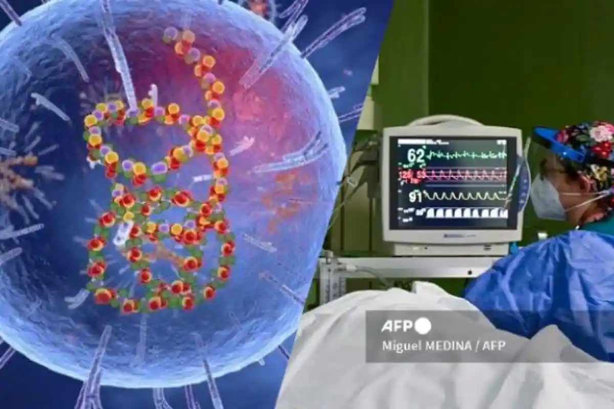 Demam Misterius di India, Ahli Kesehatan Sebut Karena Virus dan Bakteri, Kematian Capai 100 Orang