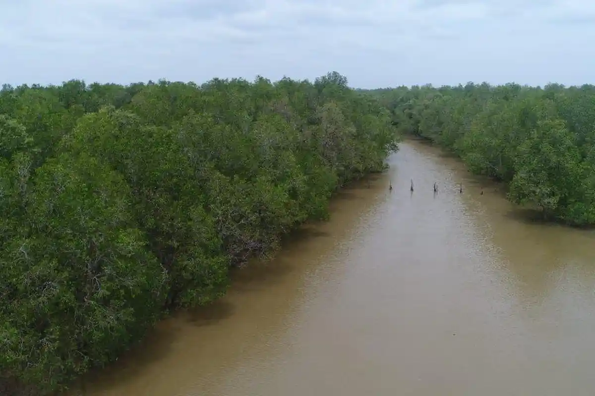 Ayo Kunjungi 11 Objek Wisata Menarik dan Kekinian yang Lagi Viral di Tanjung Jabung Barat