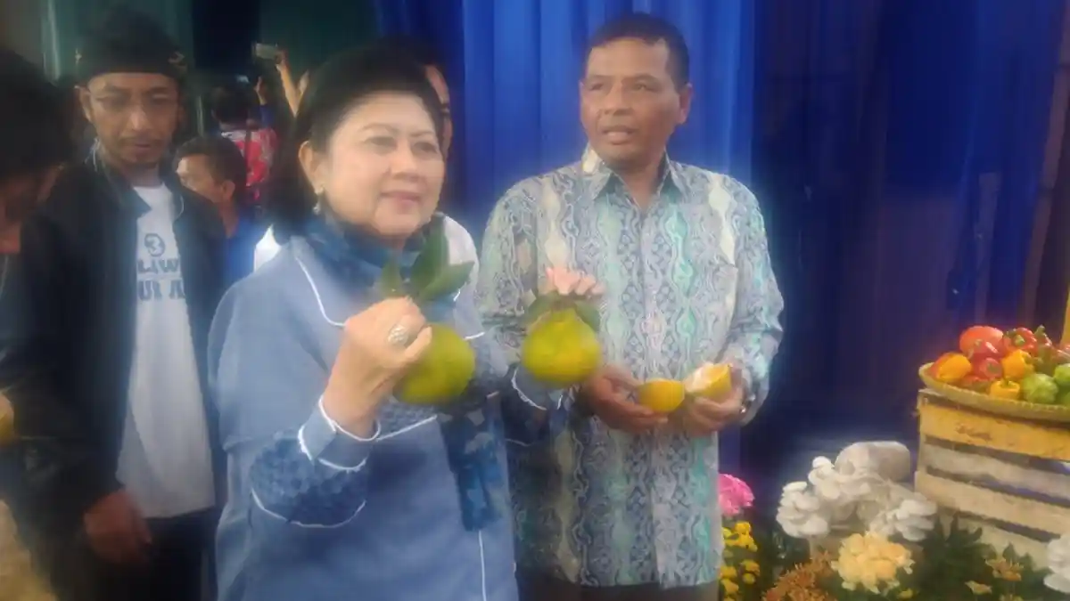 Senyum Ani Yudhoyono Cicipi Buah Hidroponik