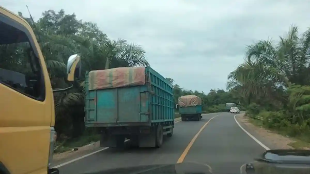 Puluhan Angkutan Batu Bara Nekat Melintas di Siang Hari, DPRD Sarolangun Minta Tindakan Tegas