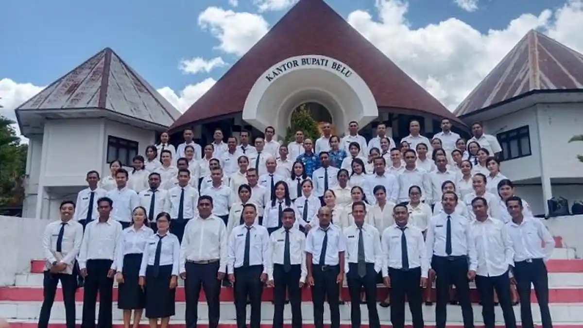 Jadwal, Cara Cek dan Link Pengumuman Hasil Akhir Seleksi PPPK 2024 Tahap 1 Melalui SSCASN BKN