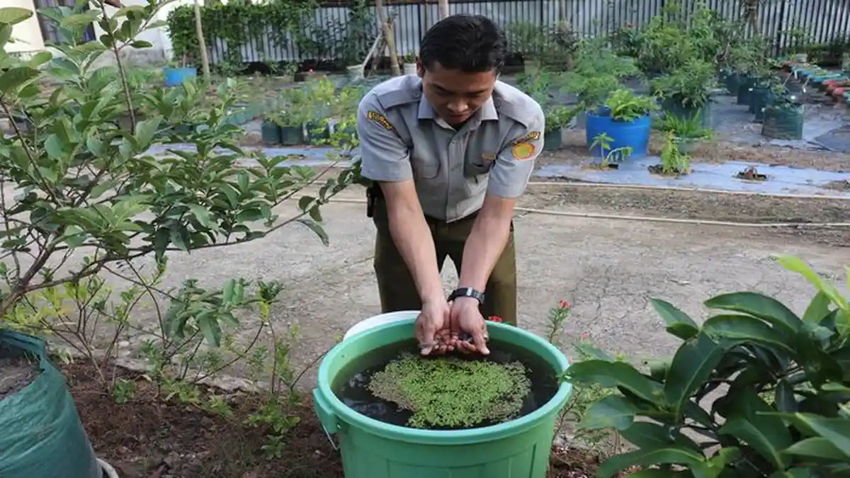 SMK PP Negeri Sembawa Kembangkan BUDIKDAMBER Sebagai Bahan Pembelajaran Siswa