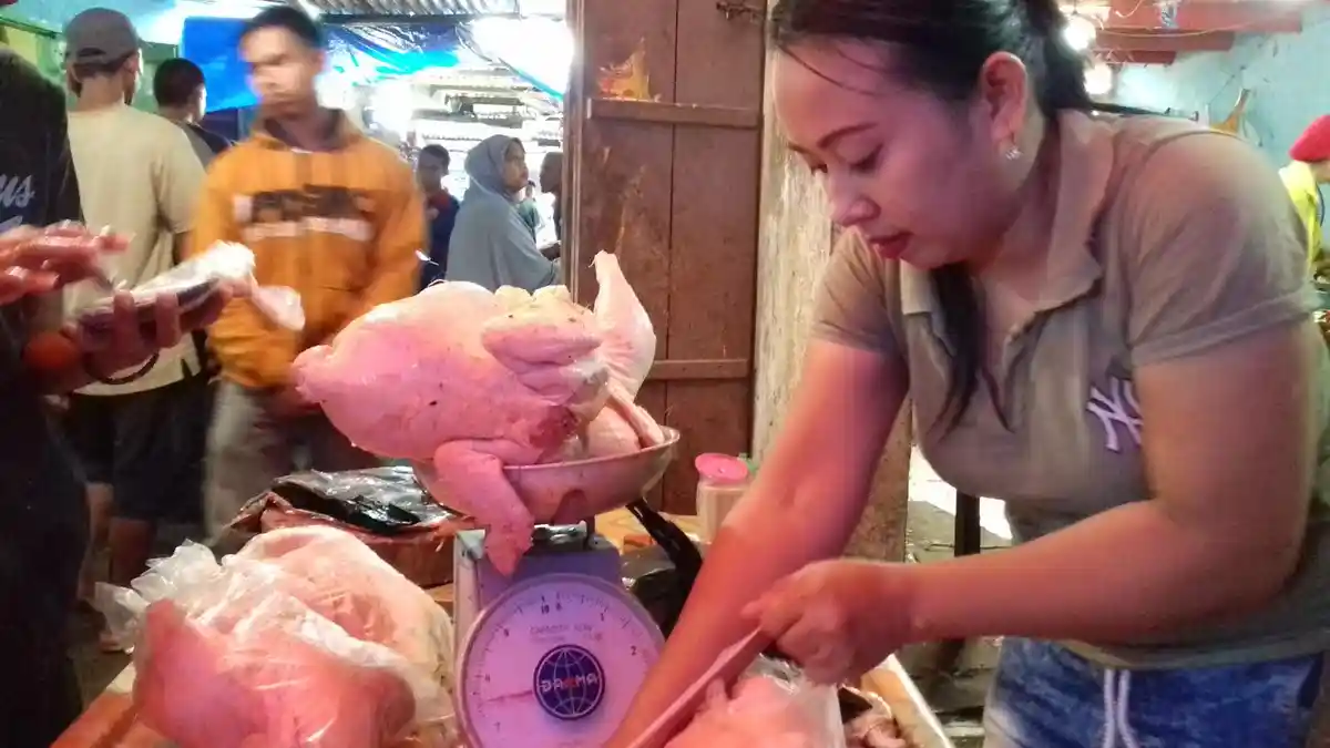 Harga Ayam Anjlok di Pinrang