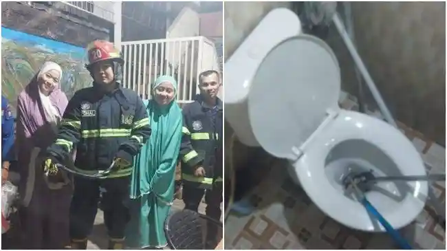 Kronologi Ular Cobra Muncul dari Kloset Kos Mahasiswi di Padang, Damkar Turun Tangan 