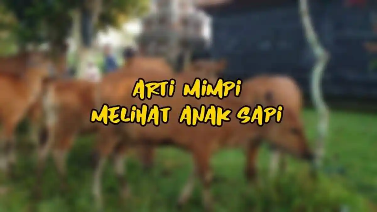 Arti Mimpi Melihat Anak Sapi, Ternyata Jadi Pertanda Awal Baru, Begini Tafsir Lengkapnya