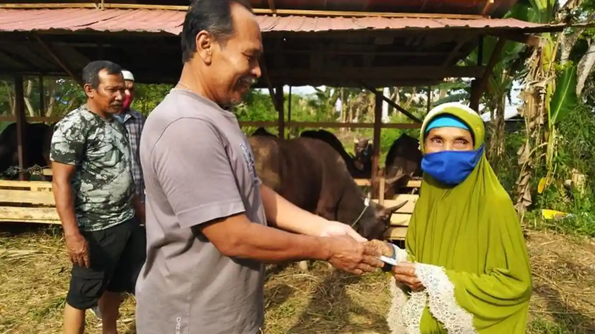 Menabung Selama 15 Tahun, Nenek Penyapu Jalan Berkurban Sapi dan Kambing, Ini Kisahnya