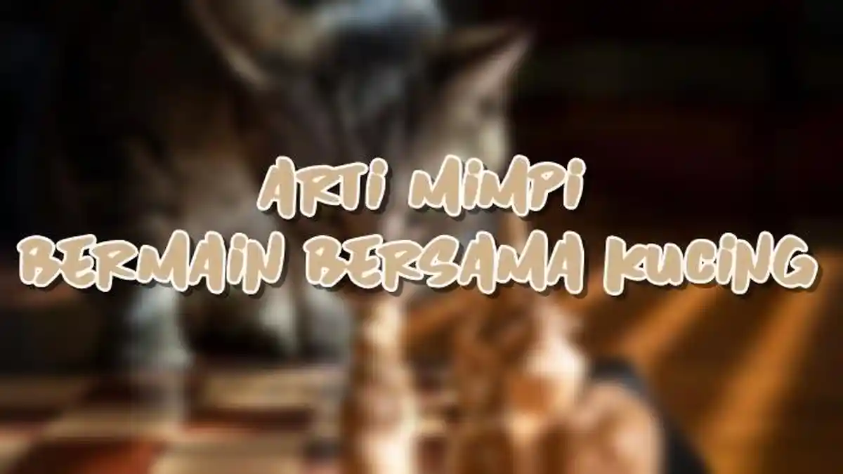 Arti Mimpi Bermain Bersama Kucing, Bisa Jadi si Pemimpi Sedang Mencari Kedamaian