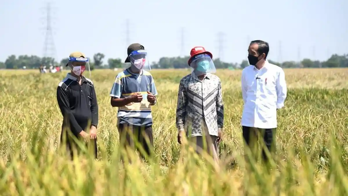 Pupuk Subsidi Disebut Kerap Hilang, Ini Kata KTNA Indramayu