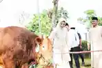 KURBAN-Pelaksanaan-Salat-Idul-Adha-bersama.jpg