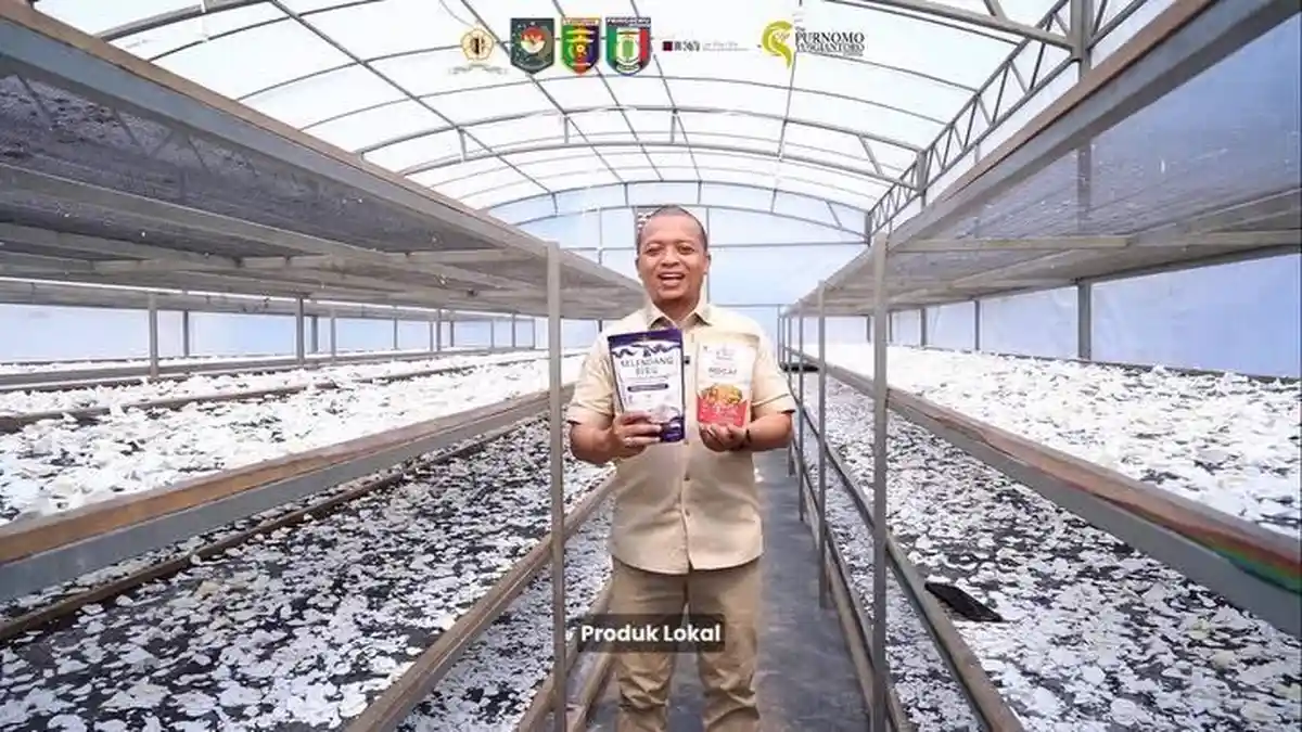 Koperasi di Pringsewu Siapkan Ekspor Perdana 7 Ton Tepung Mocaf ke ...