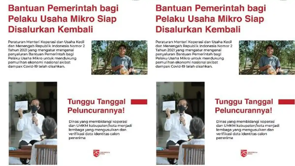 PENERIMA BLT UMKM Rp 1,2 Juta Tak Dapat SMS Pemberitahuan? Coba Cara dari Kemenkop UKM Ini!