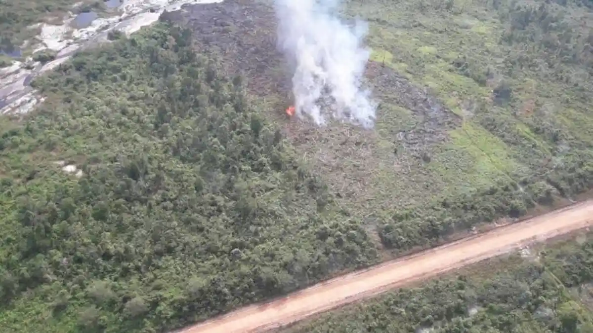 Akibat Bakar Sampah Dua Hektare Lahan di Kabupaten Bangka Tengah Ludes Dilalap Api
