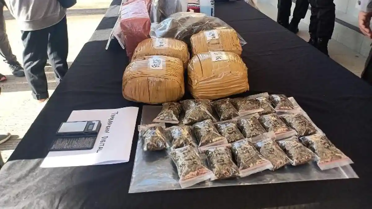 Ganja Tangkapan Polresta Samarinda Bernilai Rp 7 Juta Per Kilogram