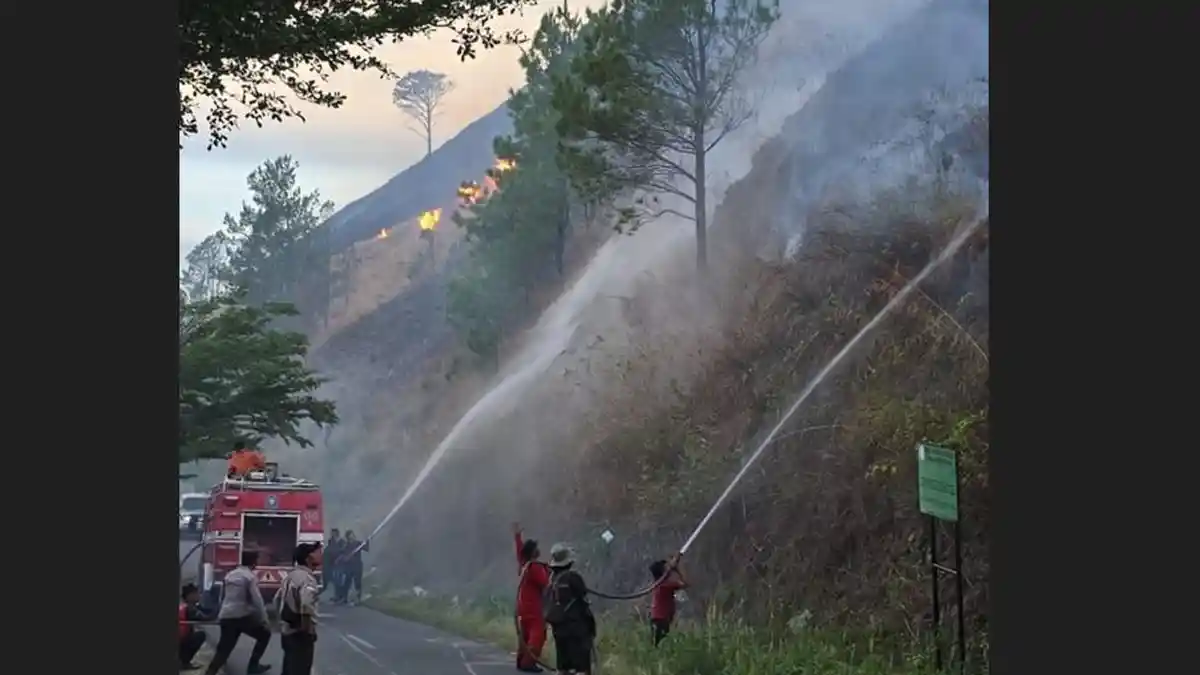 Bukit di Silahisabungan Dairi Kembali Terbakar, 110 Hektar Lahan di 2 Desa Hangus