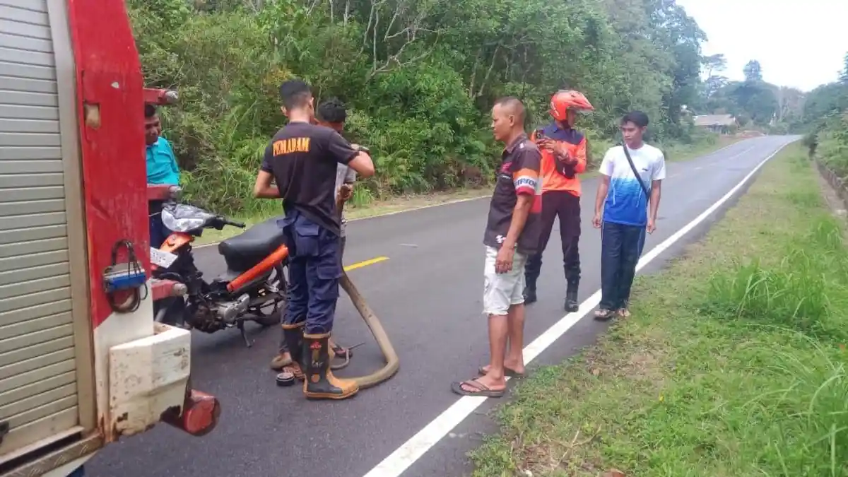 ULAR Kobra Kuning Sepanjang Tiga Meter Masuk ke Rumah Warga Resun Lingga