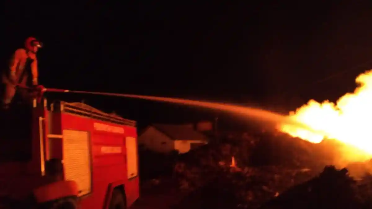 Si Jago Merah Mengamuk Bakar Tumpukan Kayu PG Wonolangan Probolinggo, Butuh Waktu 6 Jam Padamkan Api