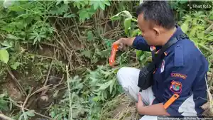 pembunuhanasdff.jpg