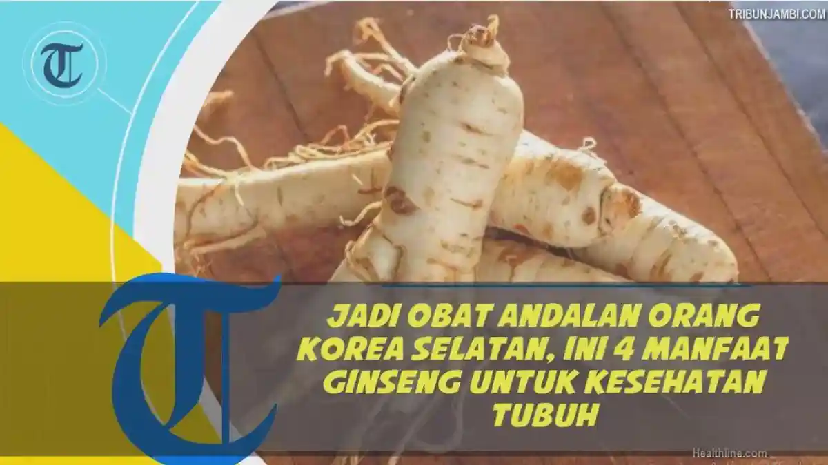 Berhasil Budidayakan Ginseng Merah Asal Korsel di Indonesia, Pria Ini Bakal Jadi Kaya Mendadak