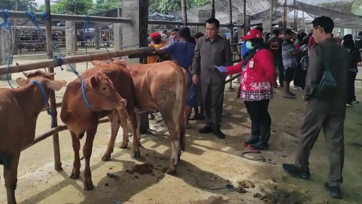 Disperindag Kota Blitar Belum Berencana Tutup Pasar Hewan Dimoro Meski Kasus PMK Meningkat